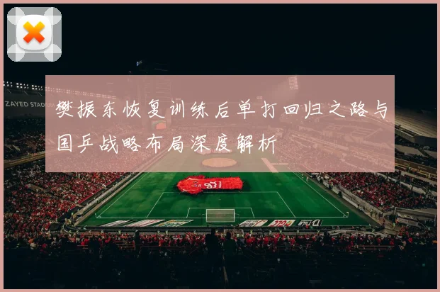 樊振东恢复训练后单打回归之路与国乒战略布局深度解析